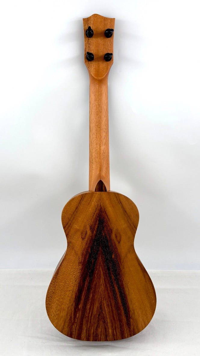 'Oli L1 Concert Acacia satin (L1-CA-S)