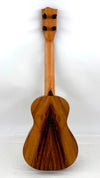 'Oli L1 Concert Acacia satin (L1-CA-S)