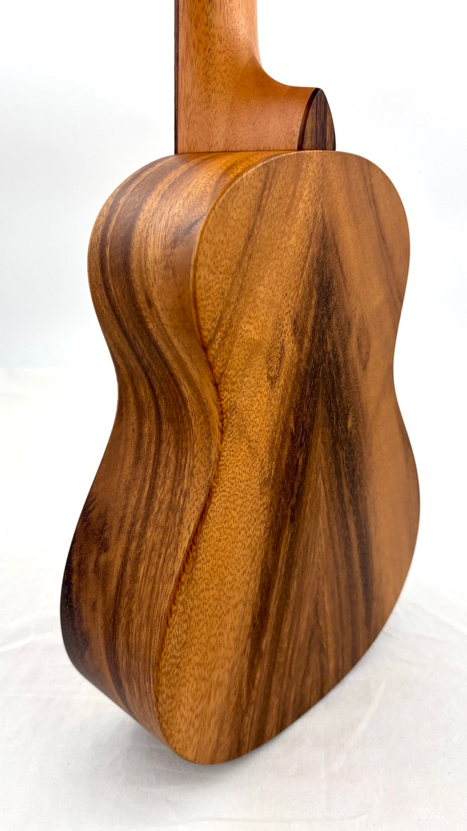 'Oli L1 Concert Acacia satin (L1-CA-S)