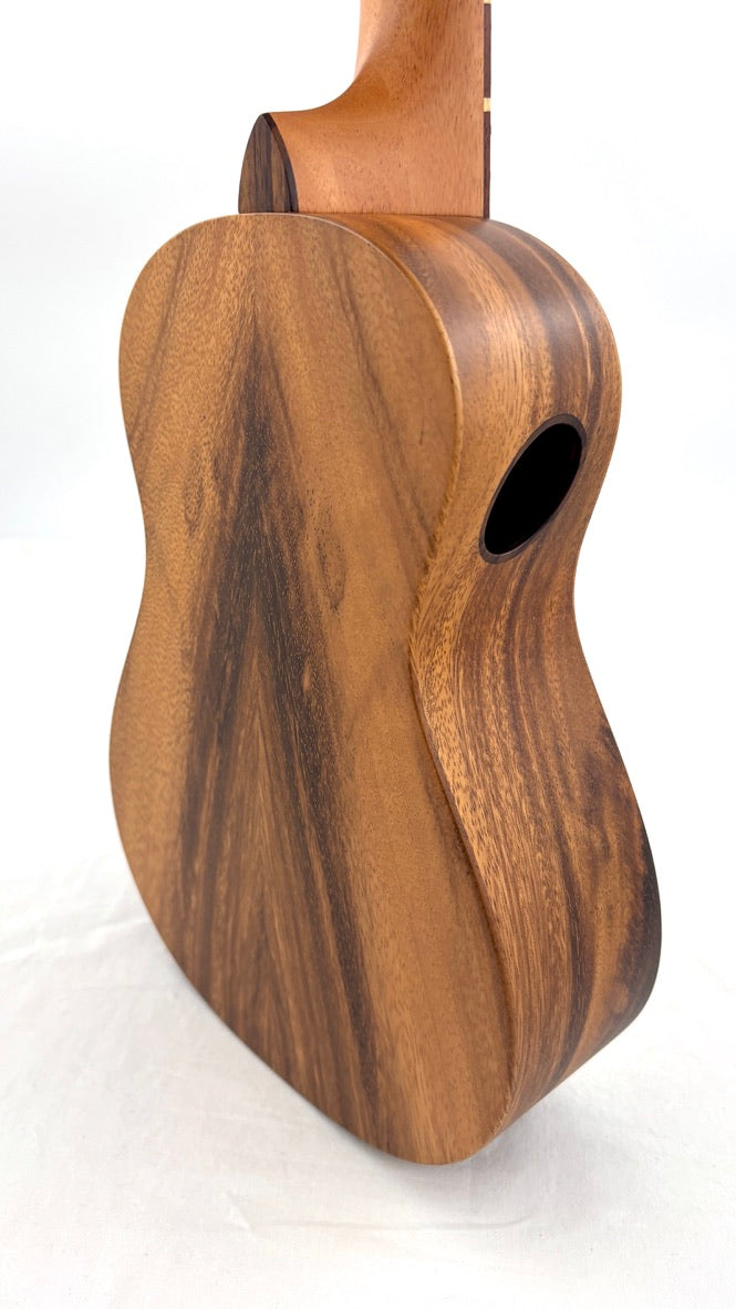 'Oli L1 Concert Acacia satin (L1-CA-S)