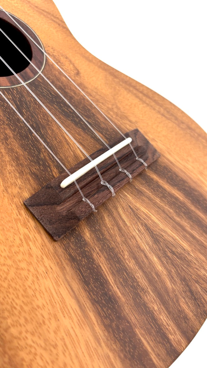 'Oli L1 Concert Acacia satin (L1-CA-S)