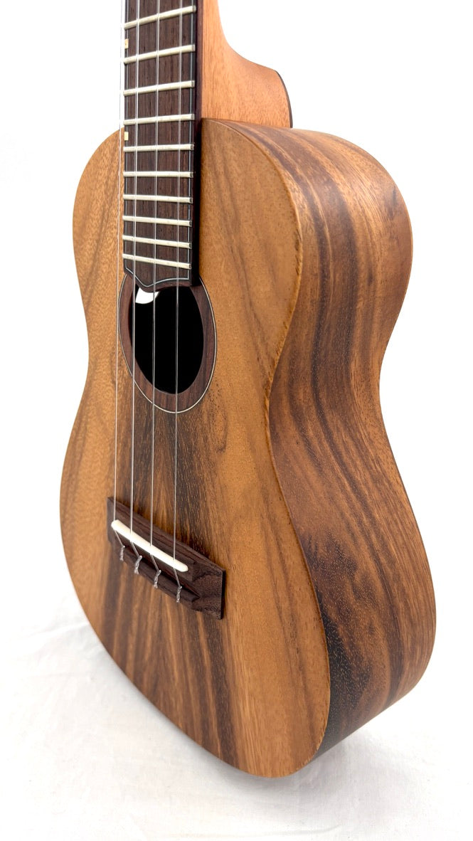 'Oli L1 Concert Acacia satin (L1-CA-S)