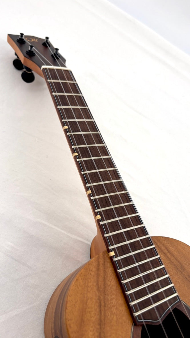 'Oli L1 Concert Acacia satin (L1-CA-S)