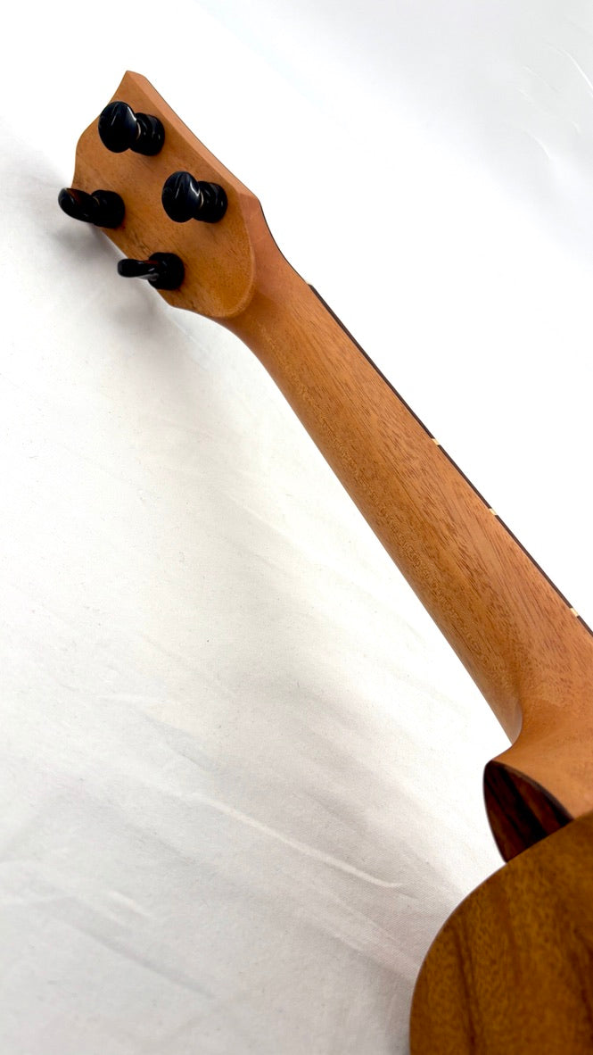 'Oli L1 Concert Acacia satin (L1-CA-S)