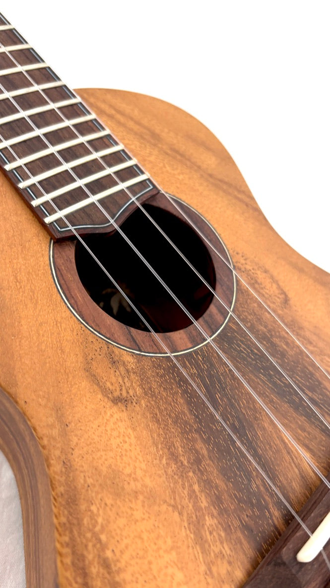 'Oli L1 Concert Acacia satin (L1-CA-S)