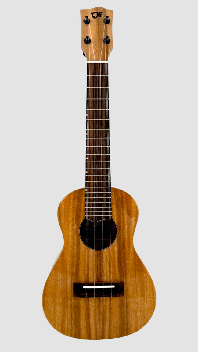 'Oli Concert Acacia gloss 2024 (L1 CA)