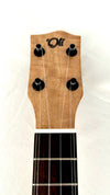 'Oli L1 Concert Mango gloss (L1 CMG)