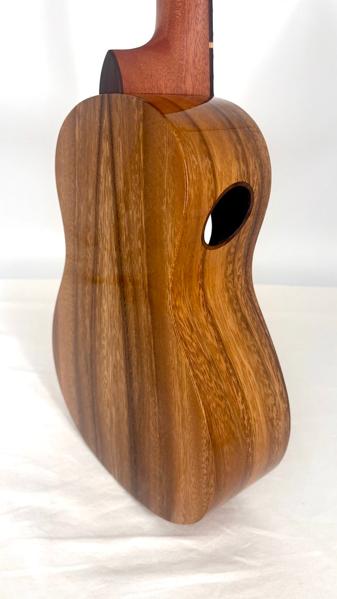 'Oli L1 Concert Acacia gloss (L1-CA)