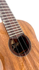 'Oli L1 Concert Acacia gloss (L1-CA)