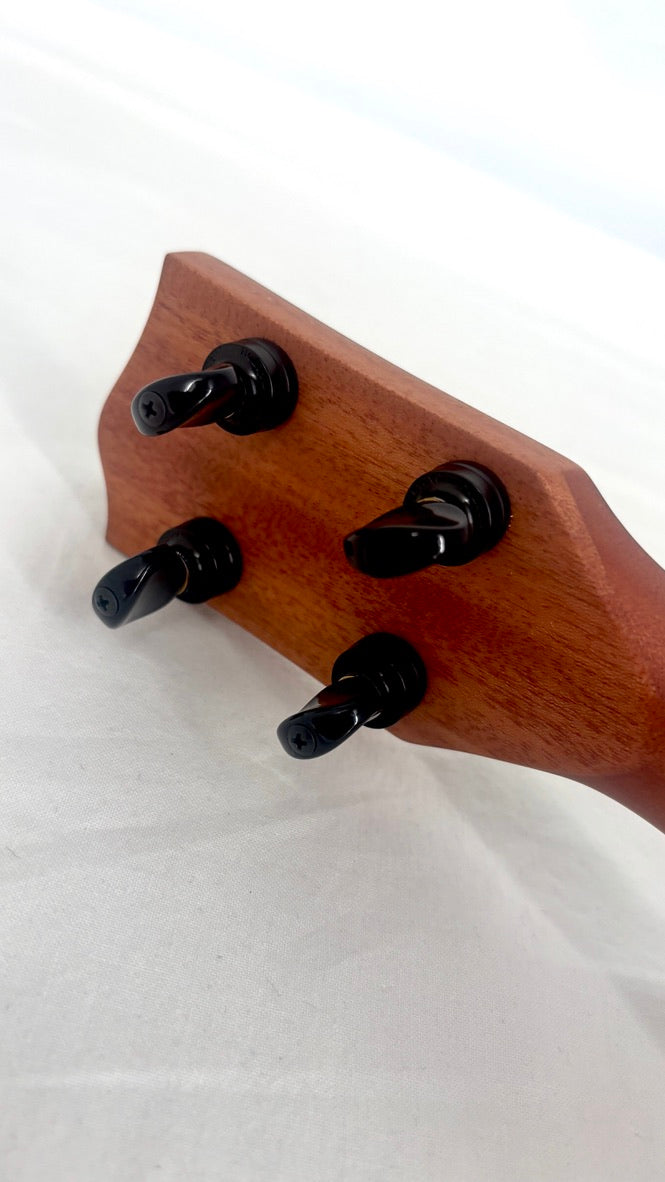 'Oli L1 Concert Acacia gloss (L1-CA)