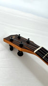 'Oli Concert Mango satin (L1 CMGS)