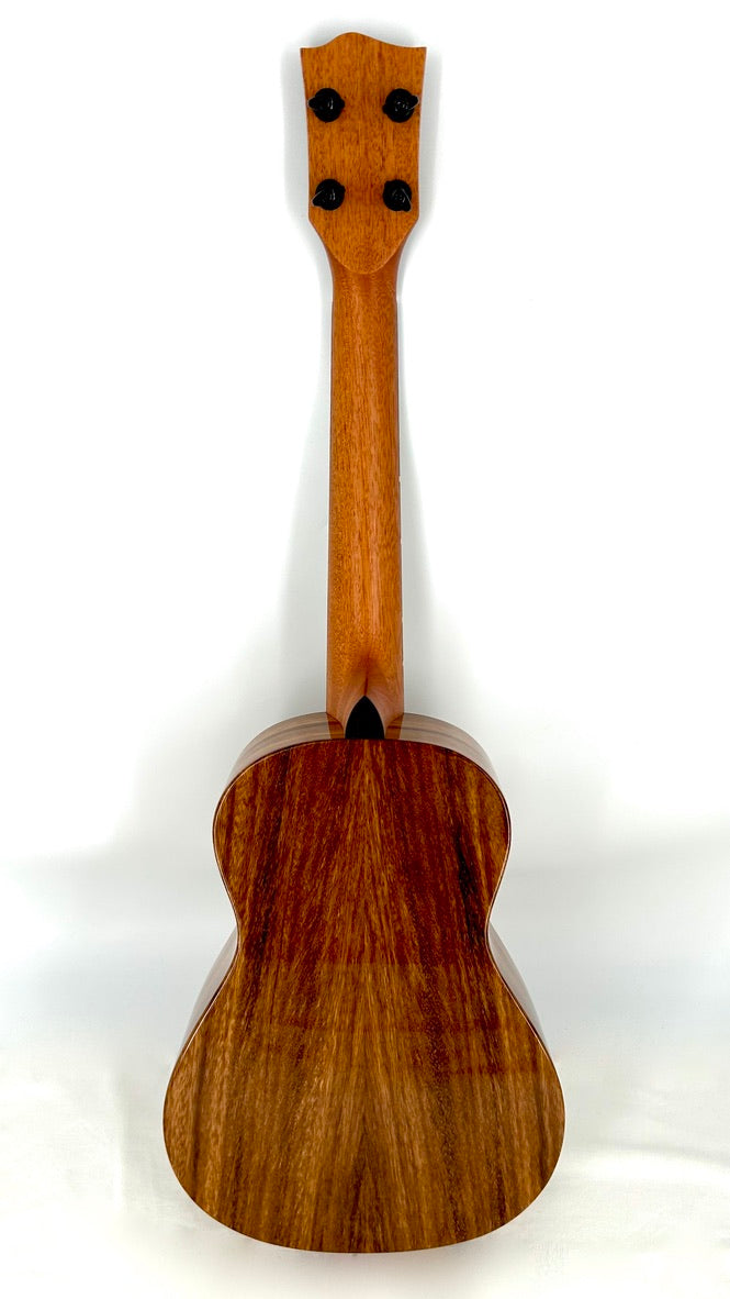'Oli Tenor Acacia gloss (L1 TA)