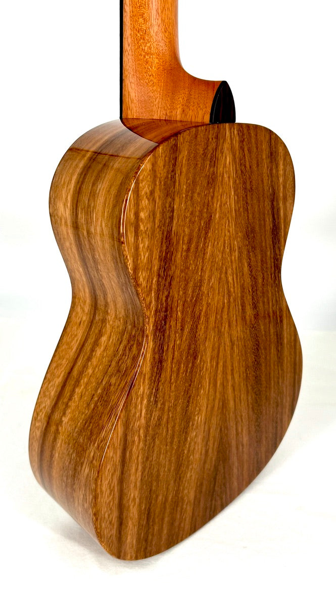 'Oli Tenor Acacia gloss (L1 TA)