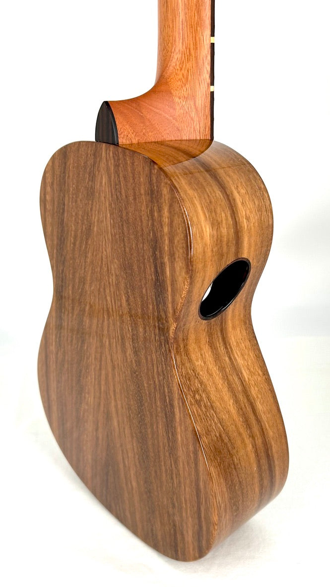 'Oli Tenor Acacia gloss (L1 TA)