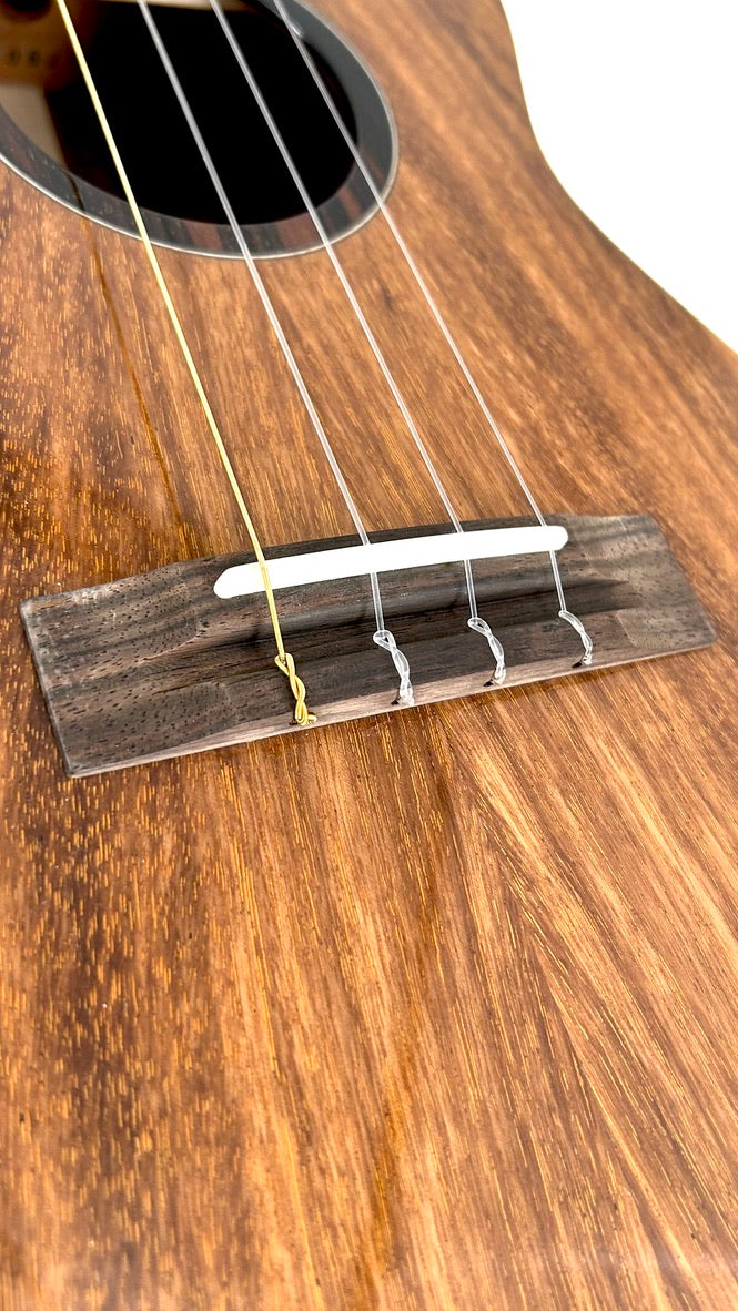 'Oli Tenor Acacia gloss (L1 TA)