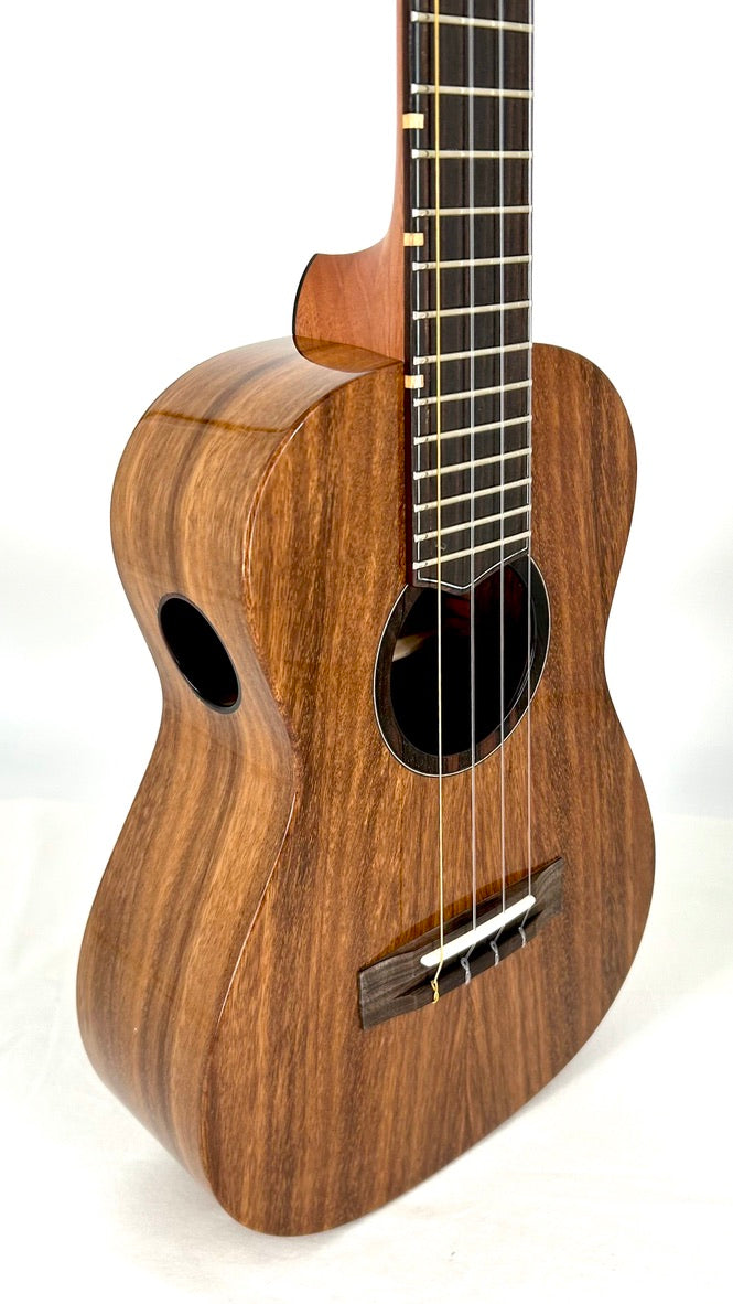 'Oli Tenor Acacia gloss (L1 TA)