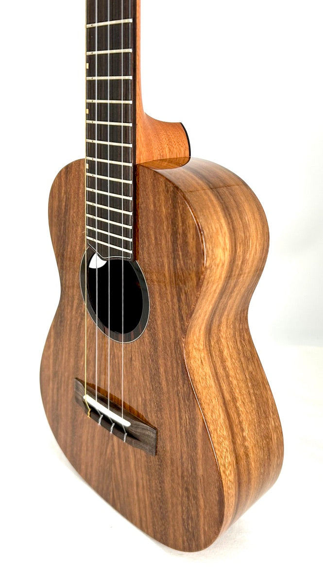 'Oli Tenor Acacia gloss (L1 TA)