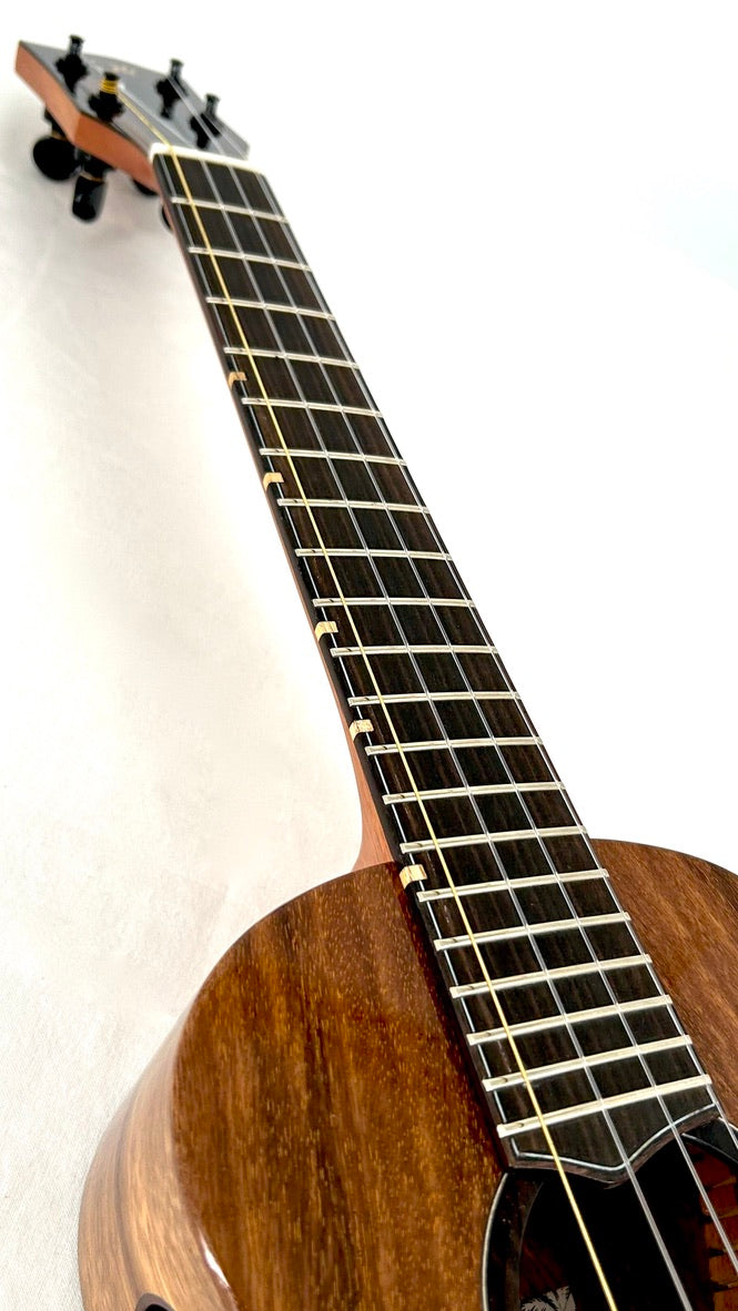 'Oli Tenor Acacia gloss (L1 TA)