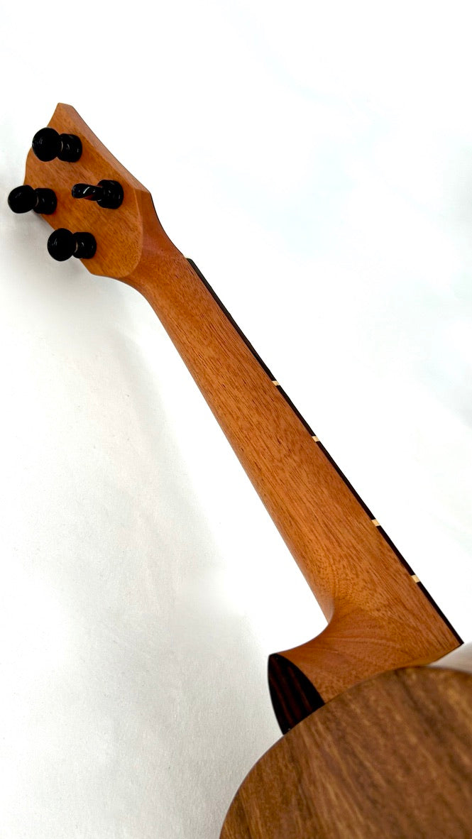 'Oli Tenor Acacia gloss (L1 TA)