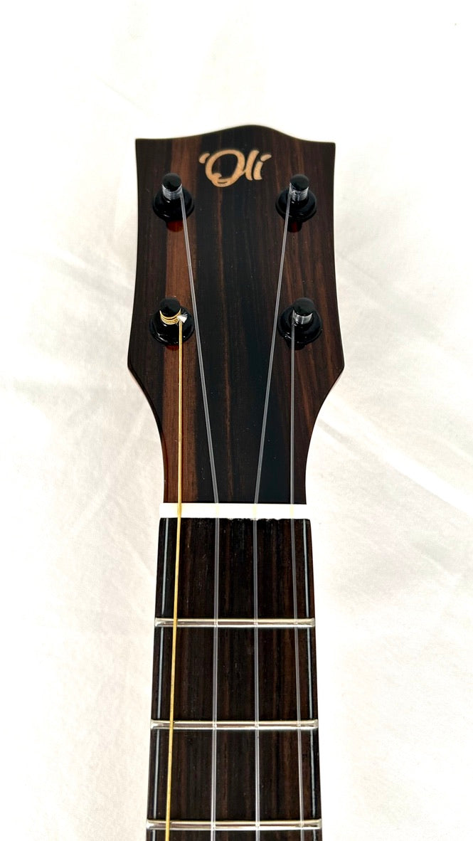 'Oli Tenor Acacia gloss (L1 TA)