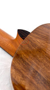 'Oli L1 Tenor Acacia gloss 2024 (L1-TA)