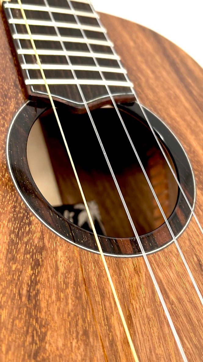 'Oli Tenor Acacia gloss (L1 TA)