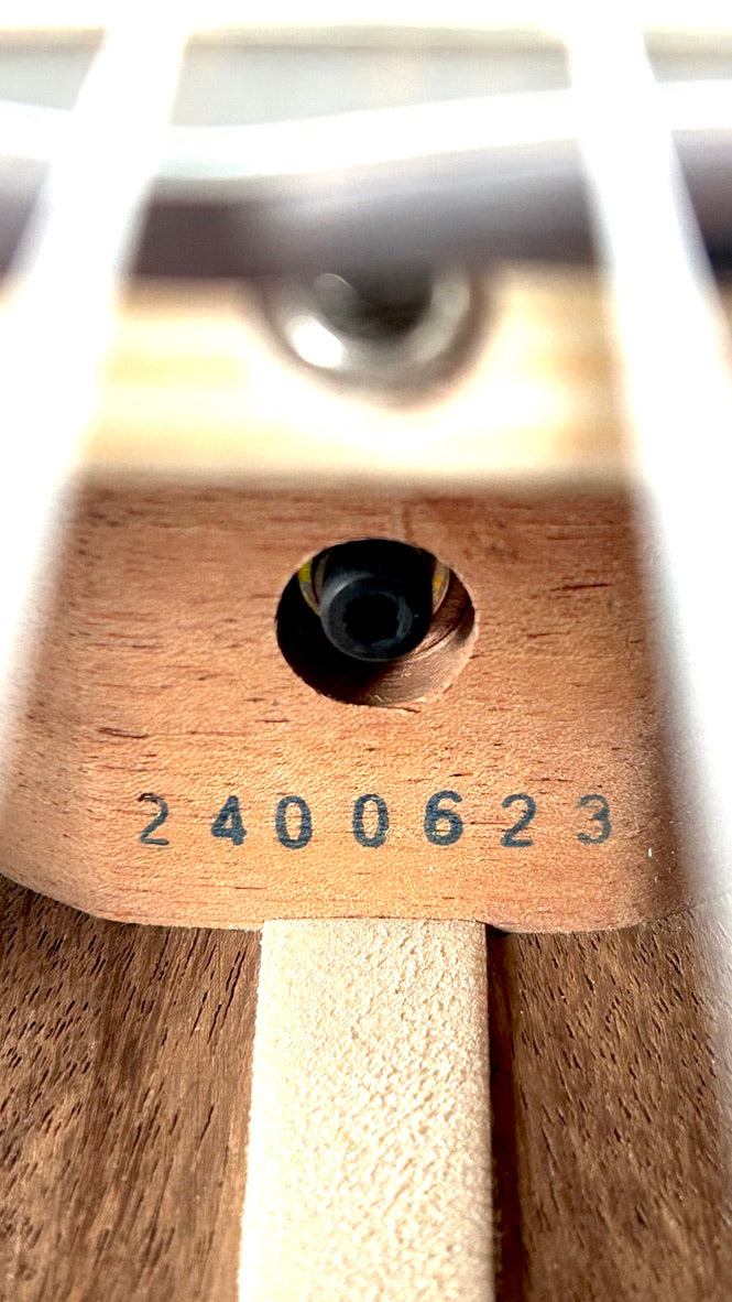 'Oli Tenor Acacia gloss (L1 TA)