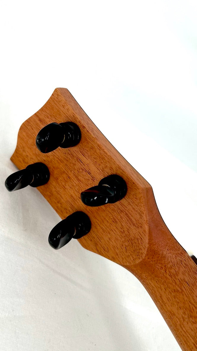 'Oli Tenor Acacia gloss (L1 TA)