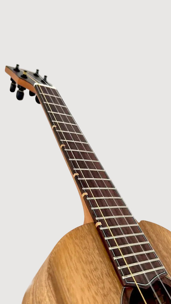 'Oli L1 Tenor Acacia satin (L1-TA-S)