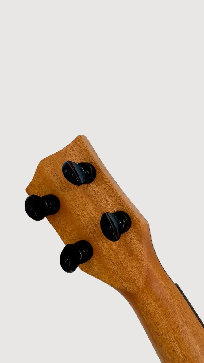 'Oli L1 Tenor Acacia satin (L1-TA-S)