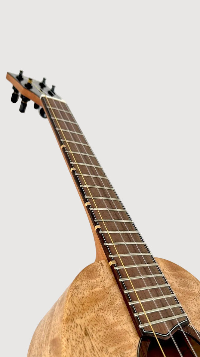 'Oli L1 Tenor Mango Pineapple gloss (L1 TPMG)