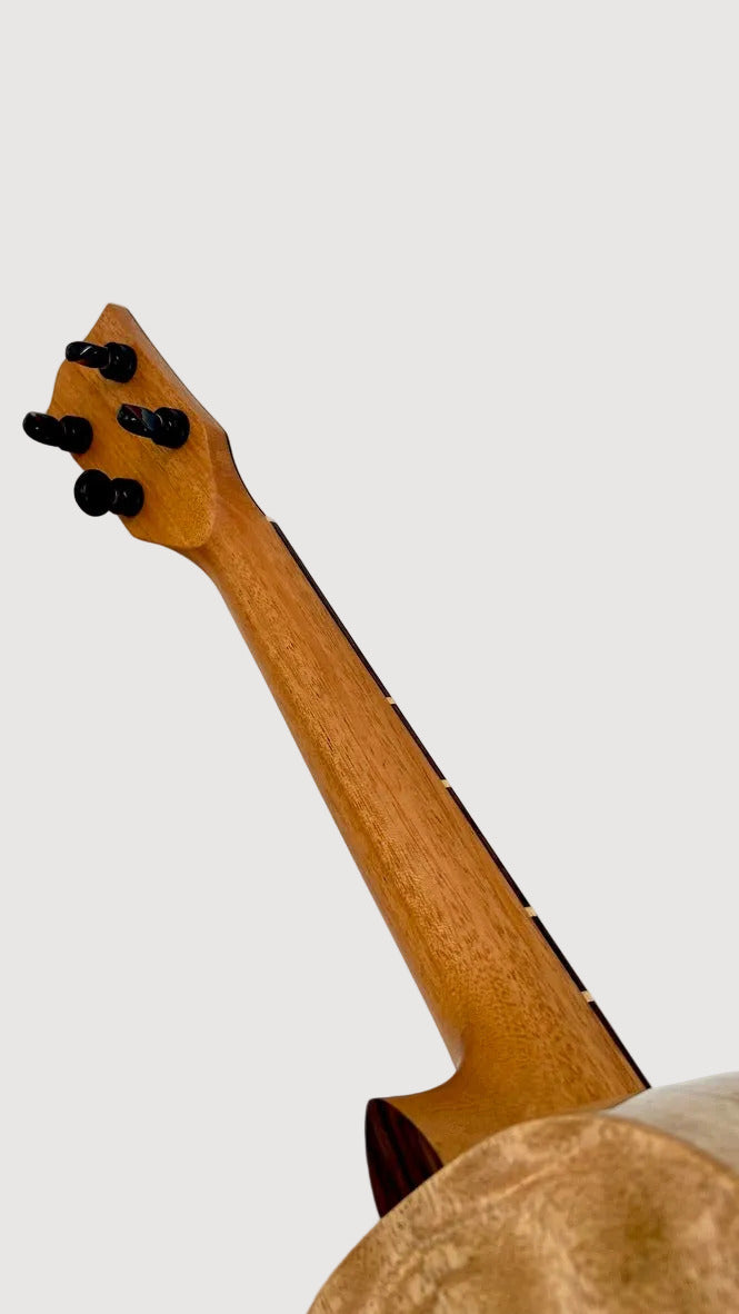 'Oli L1 Tenor Mango Pineapple gloss (L1 TPMG)