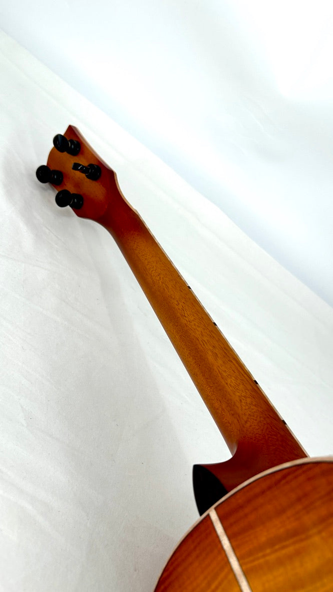 'Oli L2 Bariton Spruce Flamed Maple sunburst gloss (L2 BSFM-SB)