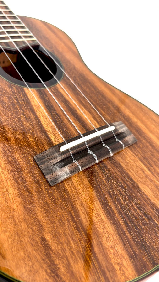 'Oli L2 Concert Acacia gloss Monstera Inlay (L2-CA)