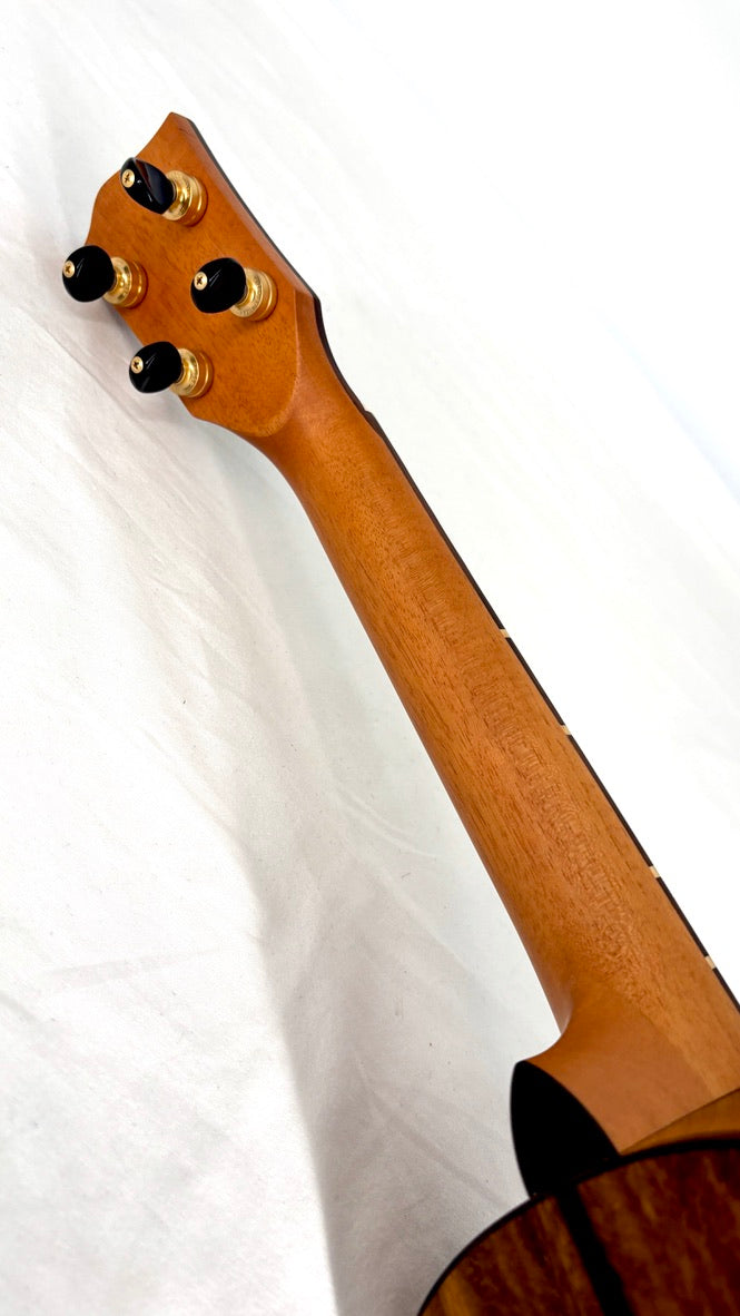 'Oli L2 Concert Acacia gloss Monstera Inlay (L2-CA)