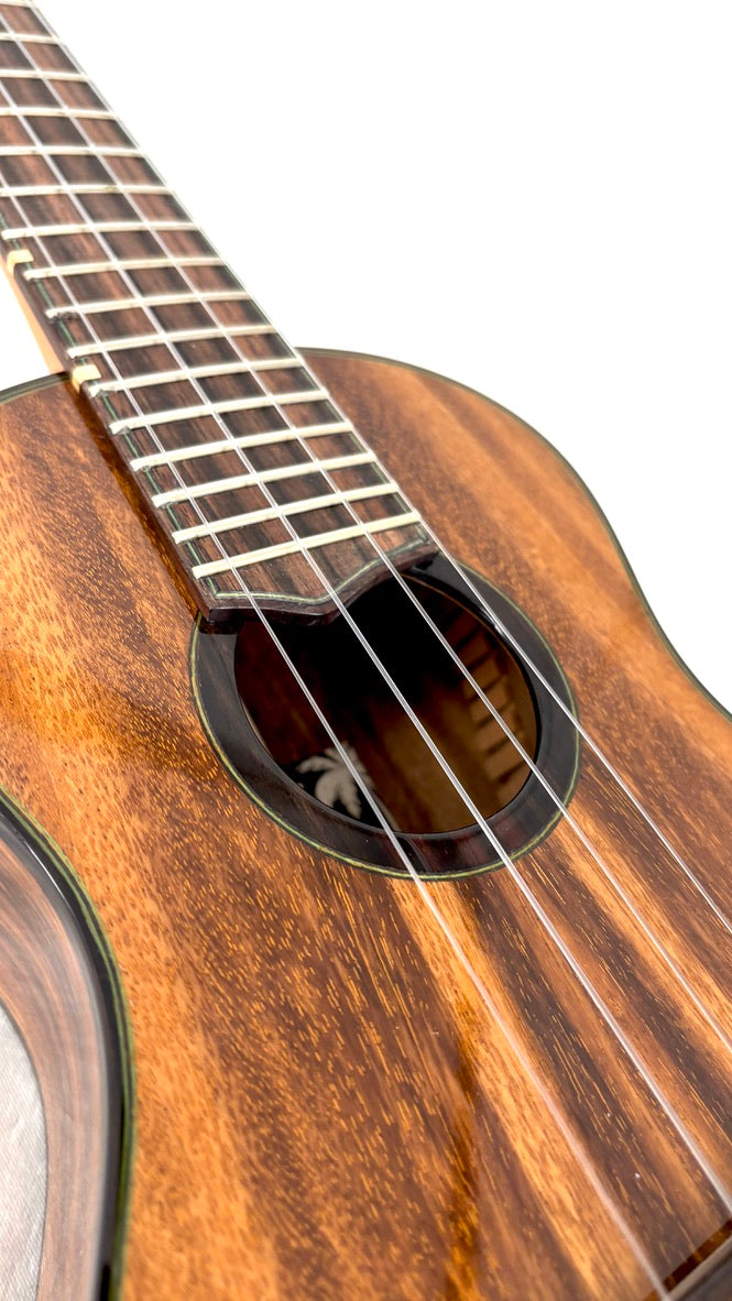 'Oli L2 Concert Acacia gloss Monstera Inlay (L2-CA)