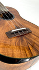 'Oli L2 Concert Acacia gloss (L2-CA)