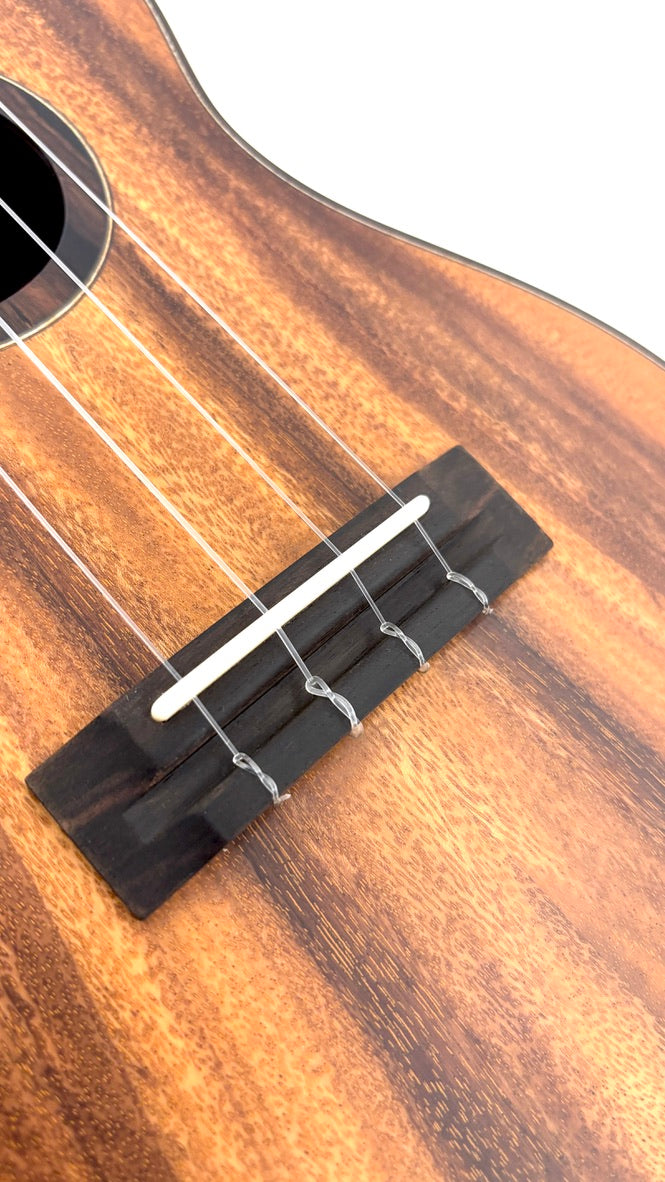 'Oli L2 Concert Acacia satin (L2-CA-S)