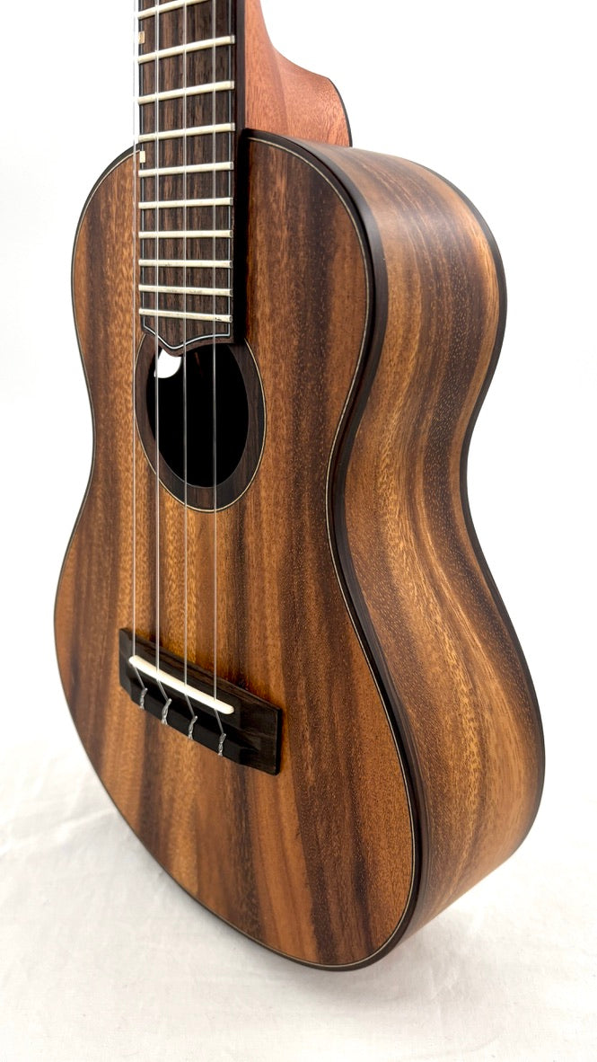 'Oli L2 Concert Acacia satin (L2-CA-S)