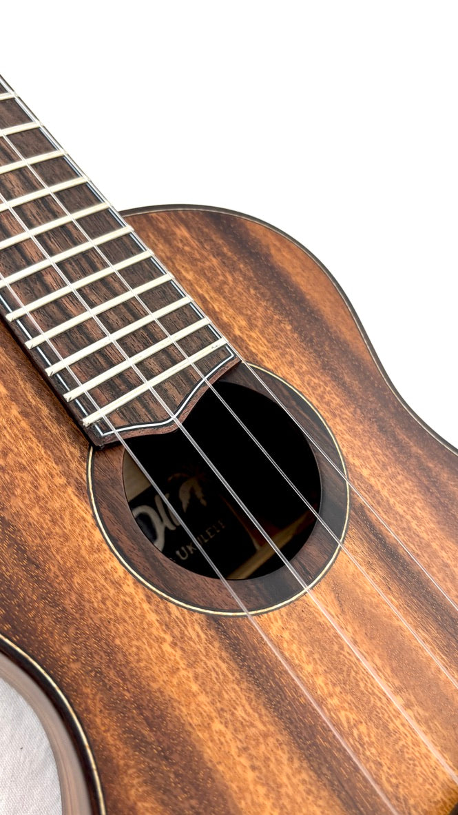 'Oli L2 Concert Acacia satin (L2-CA-S)