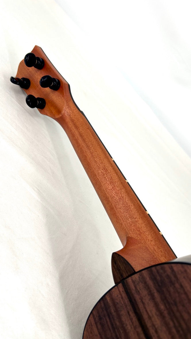 'Oli L2 Concert Spruce Rosewood satin (L2-CSR-S)