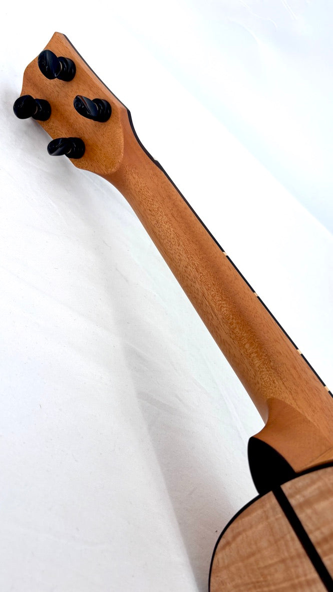 'Oli L2 Concert Spruce Flamed Maple gloss (L2-CSFM)