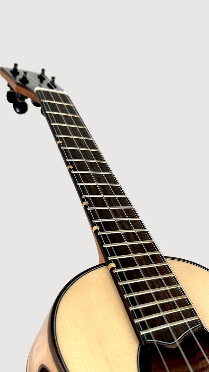 'Oli L2 Concert Spruce Flamed Maple gloss (L2-CSFM)