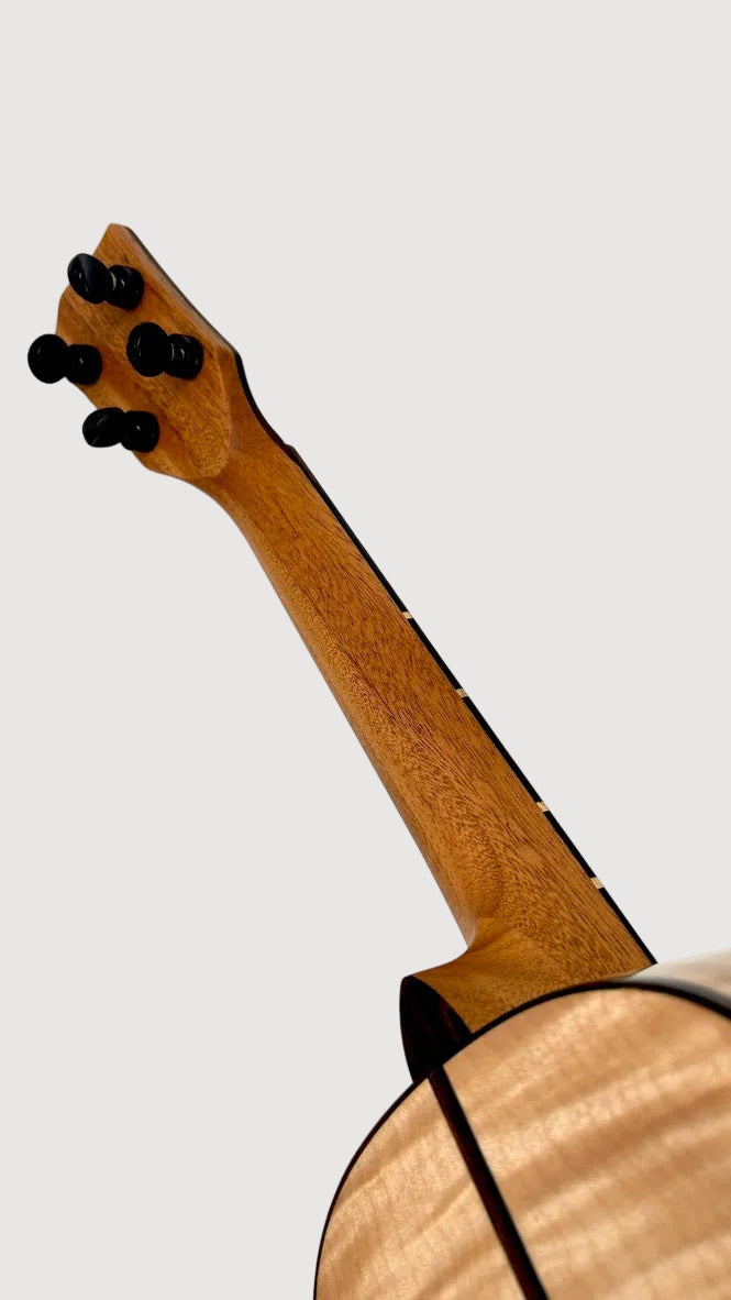 'Oli L2 Concert Spruce Flamed Maple gloss (L2-CSFM)