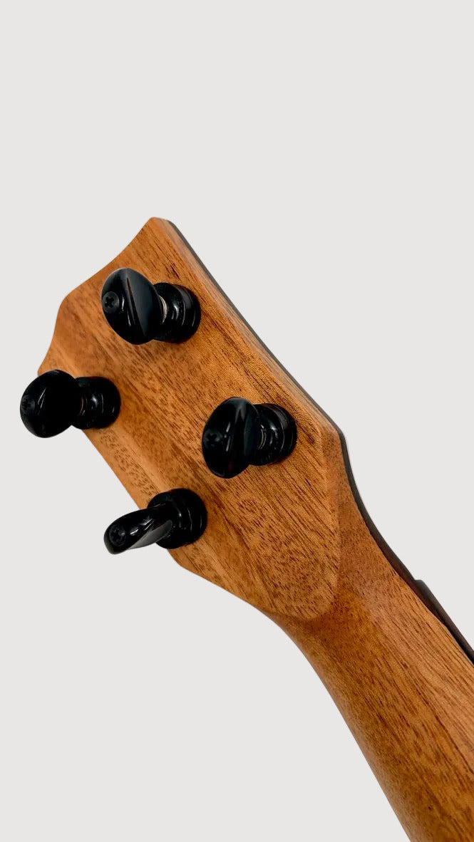'Oli L2 Concert Spruce Flamed Maple gloss (L2-CSFM)