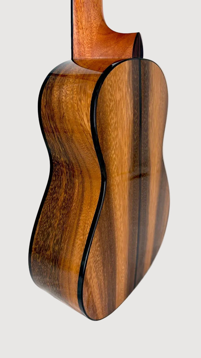 'Oli L2 Tenor Acacia gloss (L2-TA)