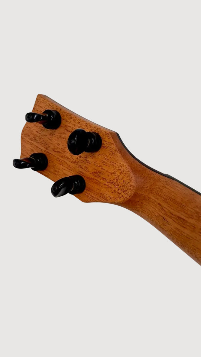 'Oli L2 Tenor Acacia gloss (L2-TA)