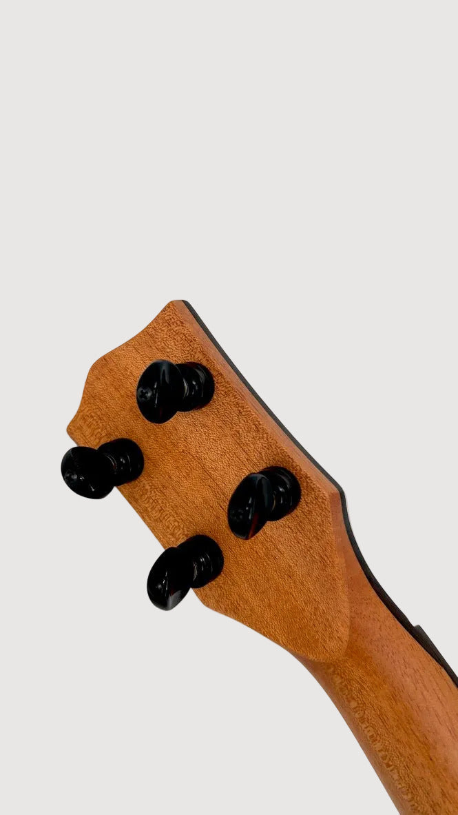 'Oli L2 Tenor Cedar Rosewood gloss (L2 TCR)
