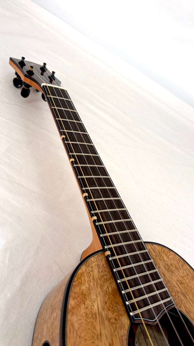 'Oli L2 Tenor Mango Pineapple gloss (L2 TPMG)