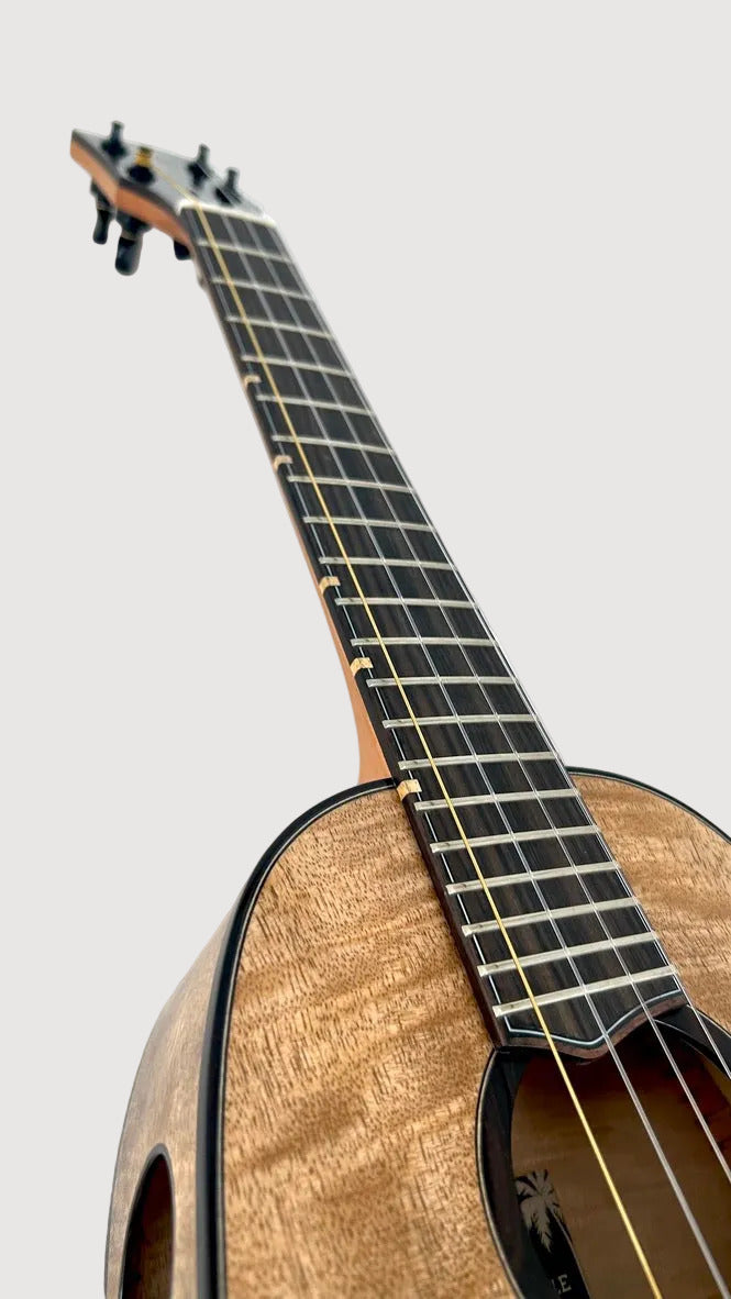 'Oli L2 Tenor Mango Pineapple gloss (L2 TPMG)